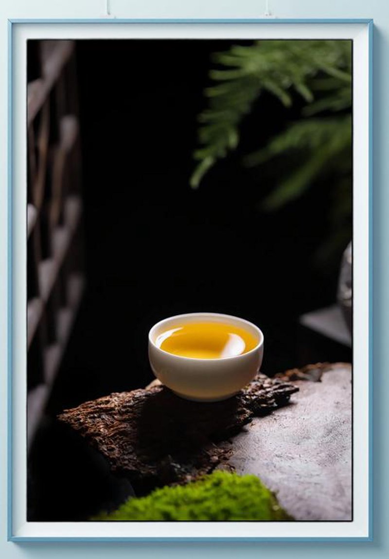古树茶的魅力：探秘绿色的宝藏